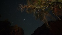 Timelapse of stars beyond a tree in the desert