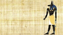 The Egyptian God of Death Anubis on a Papyrus Background 4K