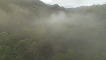 Foggy Jungle Morning Costa Rica Drone Aerial
