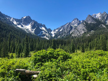 Northwest Washington state landscape 