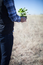 A man stands in a barren landscape holding a green plant.