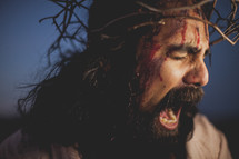 face of Christ in agony 
