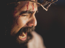 agony on the face of Christ 