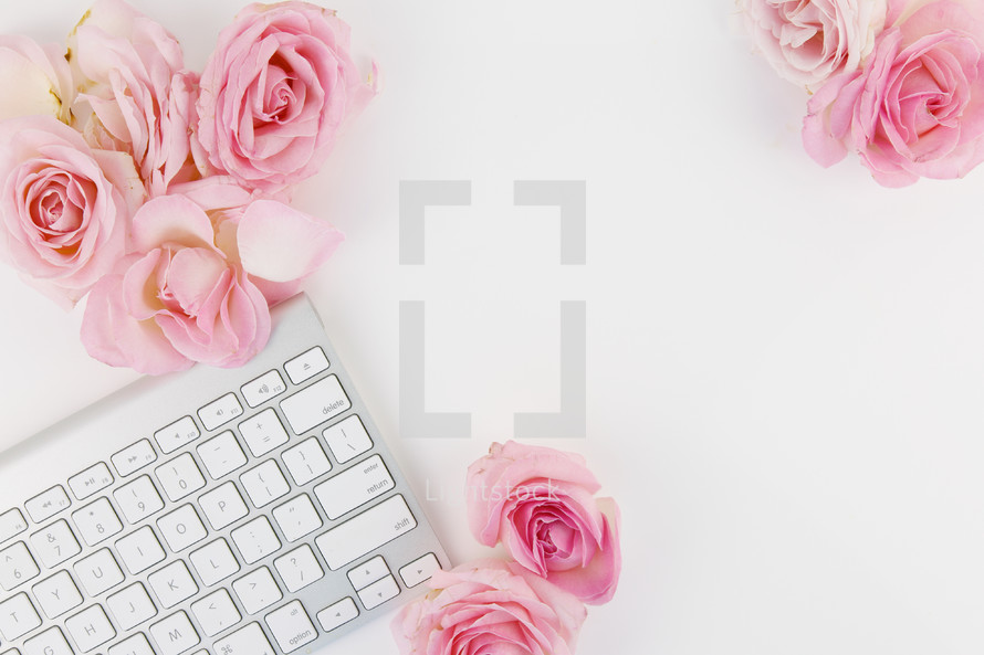 computer keyboards and pink roses on a white desk 
