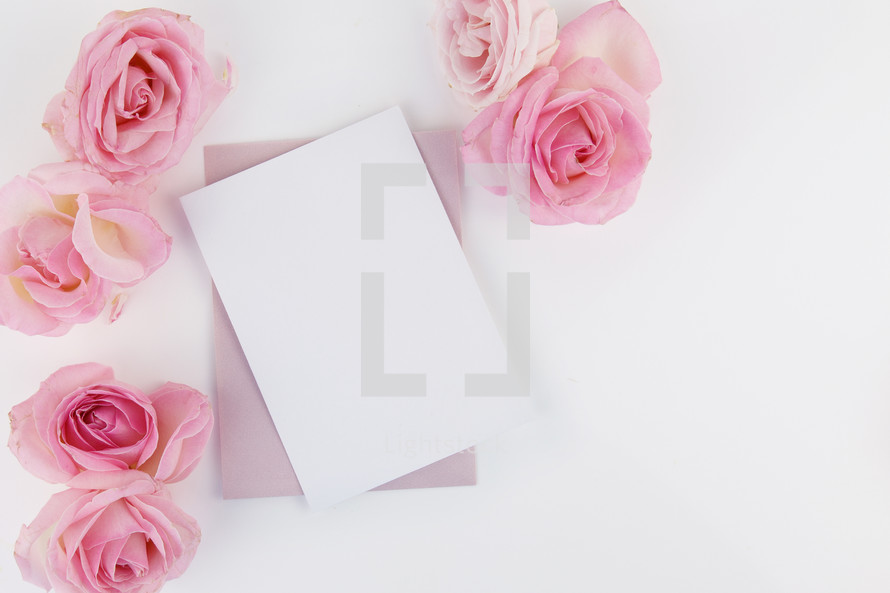 stationary and pink roses on white 