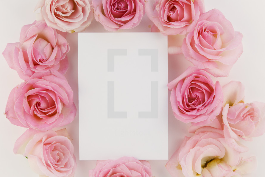 pink roses and blank paper 