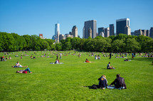 Central Park in summer 