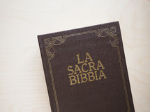 La Sacra Bibbia (translation: The Holy Bible) book
