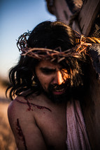 anguish of Jesus 