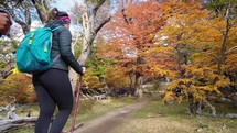 Young couple walking through fall or winter countryside using hiking poles - shot in slow motion
