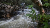 Rapid water rushing down a mountain stream