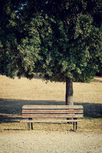 empty park bench 