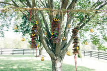 decorations hanging from a tree for an outdoor wedding 