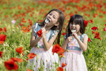 Sisters eating lollipops in poppy fields