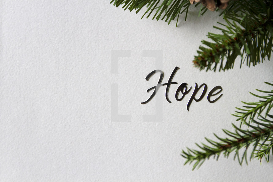 Hope and pine branches 