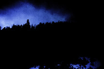 night trees silhouette
