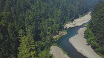 Beautiful aerial footage of a redwood forest in the mountains.