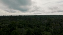 Drone aerial view of treetops in the Amazon Rainforest.