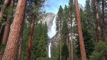 Yosemite Falls in Woods