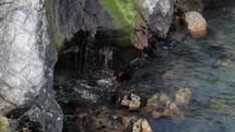 Small Waterfall Flowing Into Sea in County Wicklow