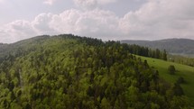Aerial of a forest on a hill