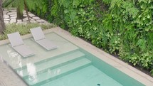 house pool with a vertical garden behind
