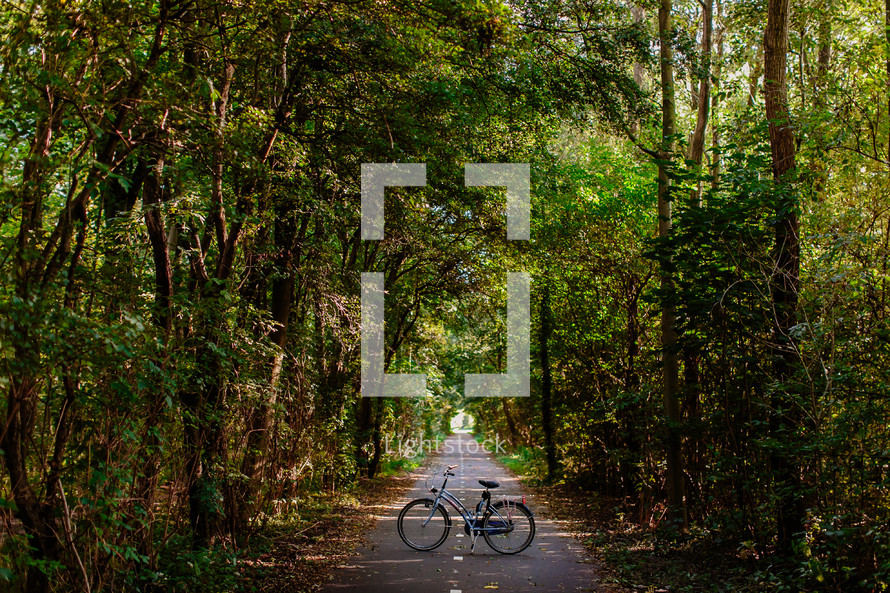 A bicycle in the middle of a road in a forest.