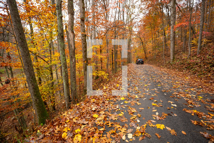 Car driving on scenic autumn road with fallen leaves and bright orange foliage