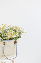 white daisies in a bag 