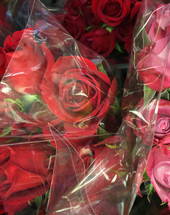 Rose bouquets wrapped in cellophane