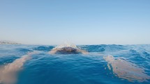 Man is swimming breaststroke style in the open sea water