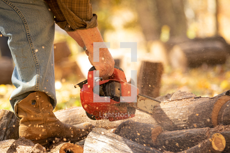 Man with chainsaw cutting up a tree