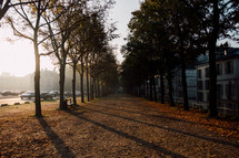 Sunrise through a row of trees on a path to the Palace of Versailles