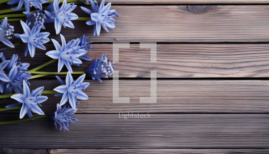Blue hyacinth flowers on wooden background. Top view with copy space