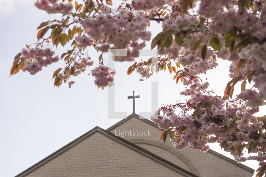 Church Cross and Spring Blossoms