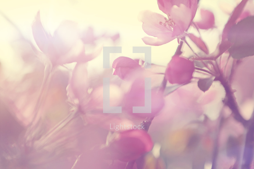 An out of focus abstract styled sunny spring background