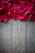rose petals on wood