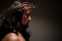 The suffering of Christ -- Jesus wearing His crown of thorns.