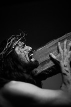 The suffering of Christ -- Jesus crying in pain while wearing His crown of thorns as he carries the cross.