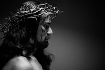 The suffering of Christ -- Jesus in His crown of thorns.