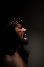 The suffering Christ -- Jesus in His crown of thorns.