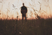 man with his hands in his pockets standing in a field at dusk 