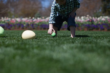 Father putting Easter eggs on the lawn for an Easter egg hunt.