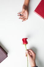 woman's hand reaching for a long stem rose 