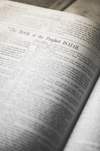 The Book of the prophet Isaiah 