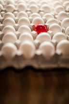 Cartons of white eggs with one red egg.