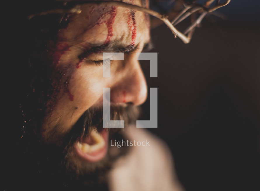 agony on the face of Christ 