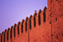 bird on castle walls 