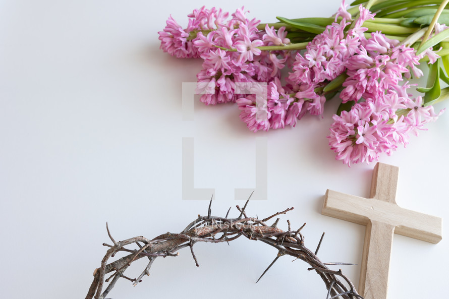 Pink hyacinth flowers with cross and crown of thorns on a white background