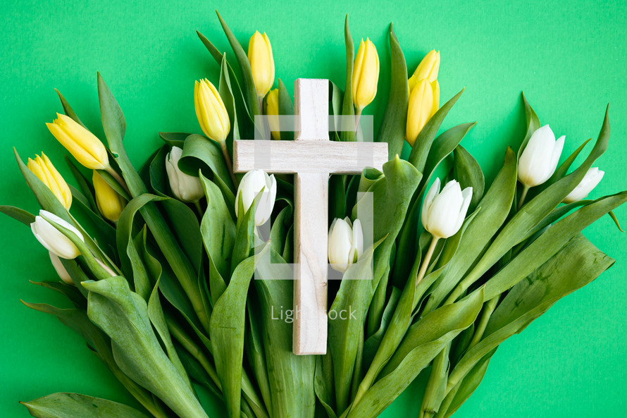 Cross on a bed of yellow and white tulips on a green background
